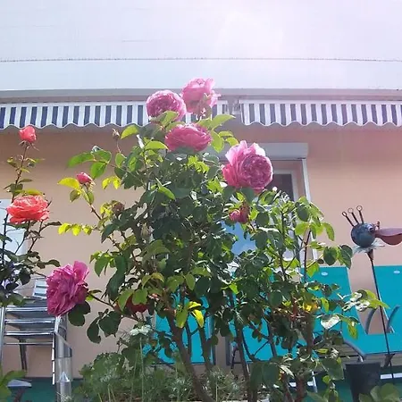 公寓 Joli Avec Terrasse Et Vue Exclusivement Pour Non Fumeurs