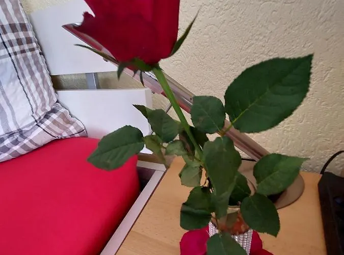 Apartment Joli Avec Terrasse Et Vue Pour Non Fumeurs Belmont-sur-Lausanne