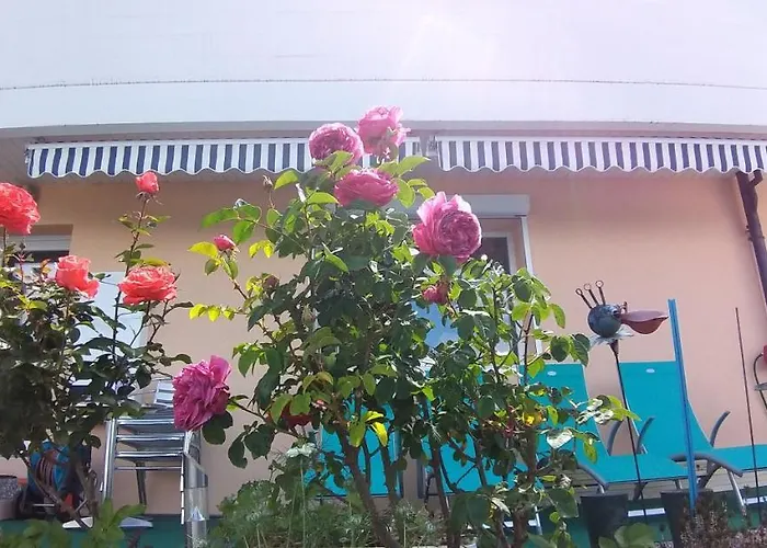 Appartement Joli Avec Terrasse Et Vue Pour Non Fumeurs