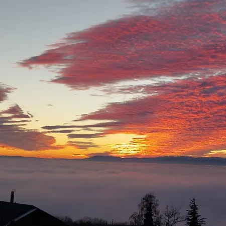 Joli Avec Terrasse Et Vue Pour Non Fumeurs * Belmont-sur-Lausanne